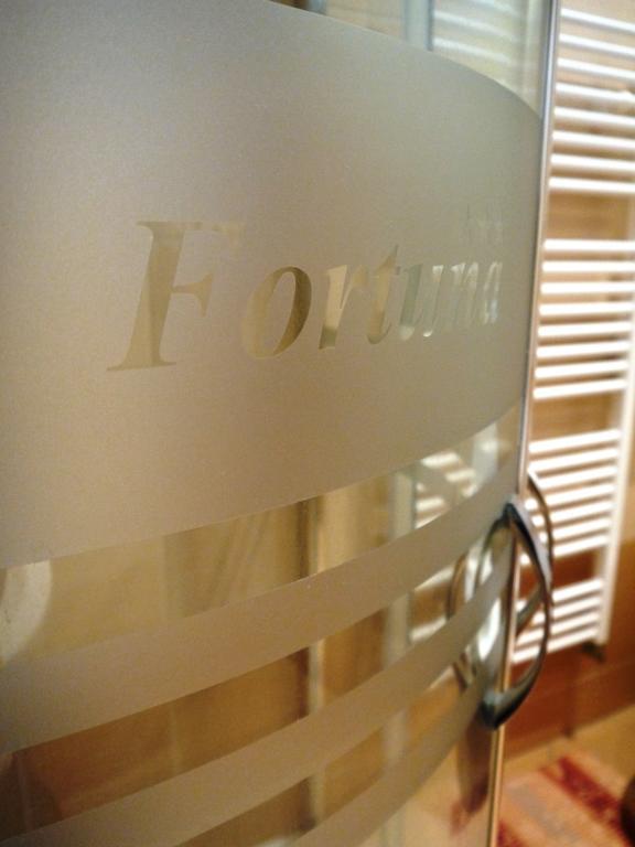 Penzion Fortuna ドゥディンツェ 部屋 写真